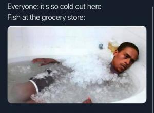 Everyone: it's so cold out here

Fish at the grocery store: