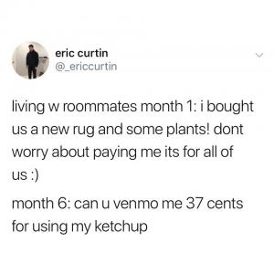 Living w roommates month 1: I bought us a new rug and some plants! Dont worry about paying me its for all of us :)

Month 6: Can u venmo me 37 cents for using my ketchup