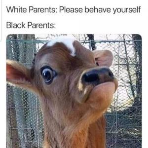 White parents: Please behave yourself

Black parents: