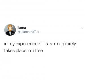 In my experience k-i-s-s-i-n-g rarely takes place in a tree